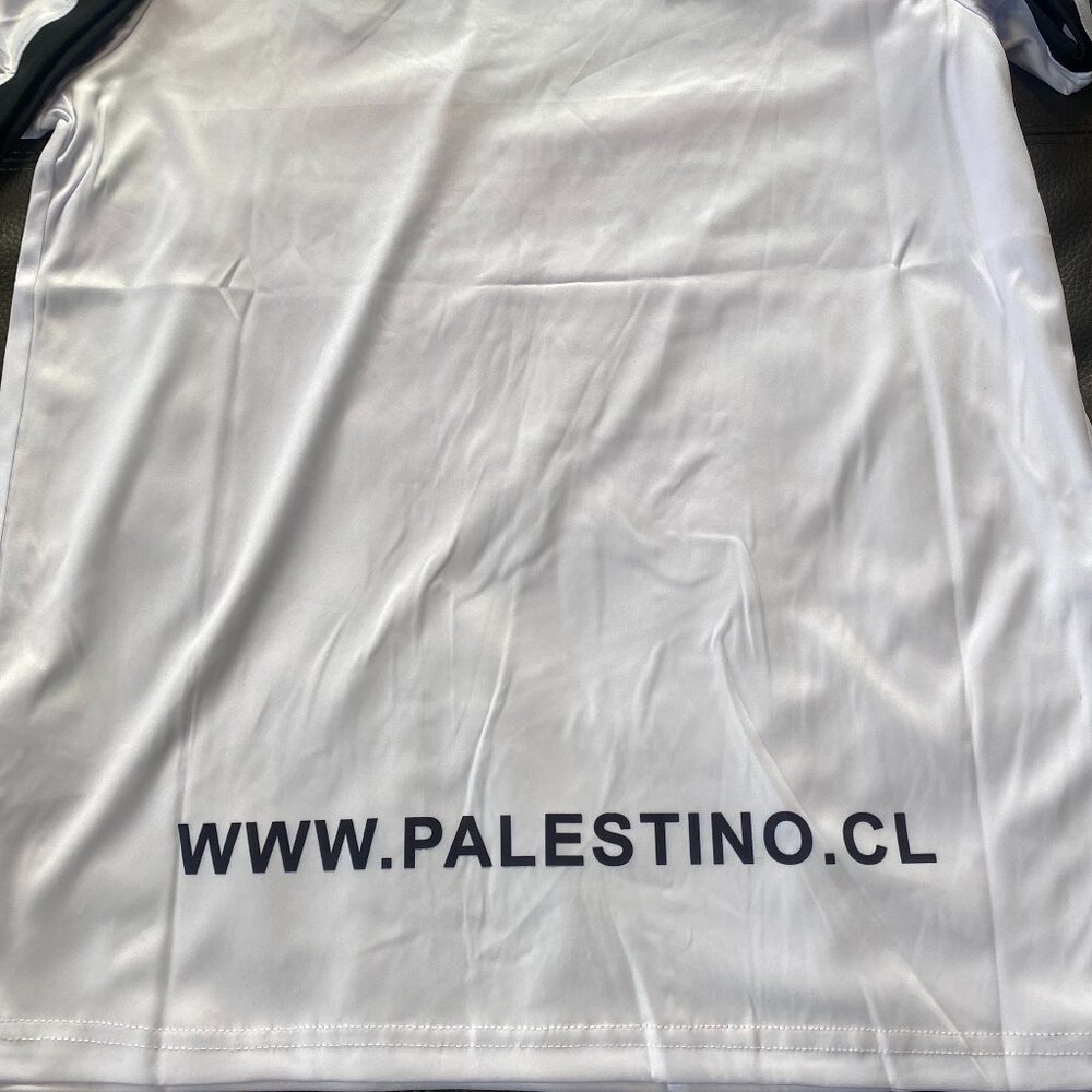 CHILE CLUB Deportivo PALESTINO Men's JERSEY Sz M,L,XL,2XL by Capelli Palestine - Picture 4 of 5